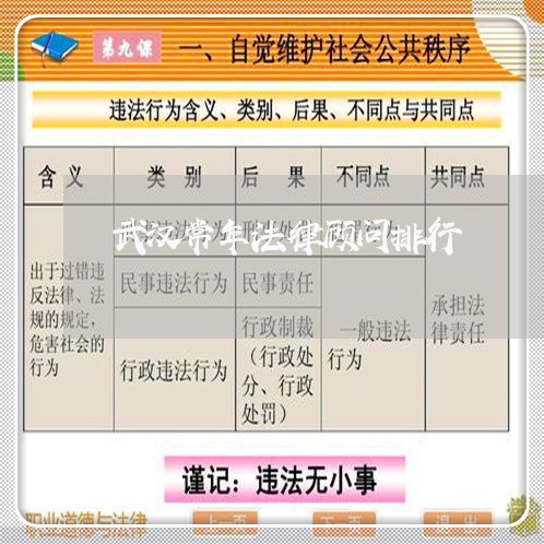 武汉常年法律顾问排行/2023061784936