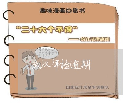 武汉年检逾期 武汉年检逾期