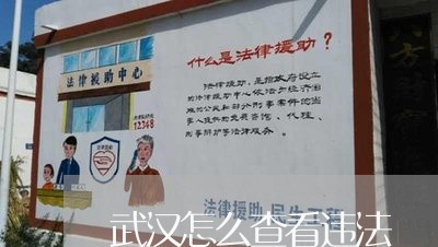 武汉怎么查看违法