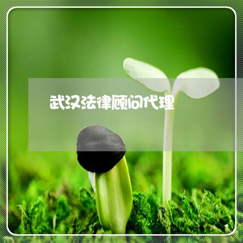 武汉法律顾问代理/2023061706947