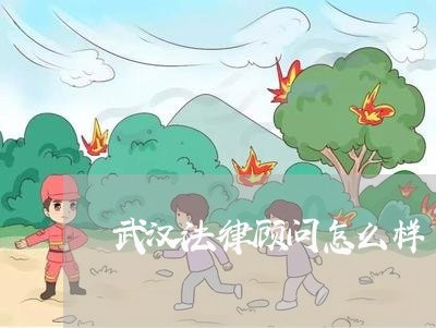 武汉法律顾问怎么样/2023061851783