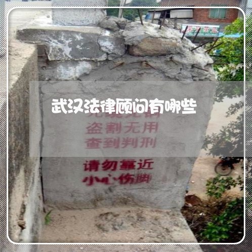 武汉法律顾问有哪些/2023061781692