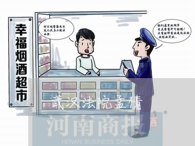 武汉法院孟倩 武汉法院孟倩