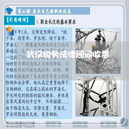 武汉税务法律顾问收费/2023061781581 武汉税务法律顾问收费/2023061781581