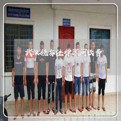 武汉税务法律顾问收费/2023061784614 武汉税务法律顾问收费/2023061784614