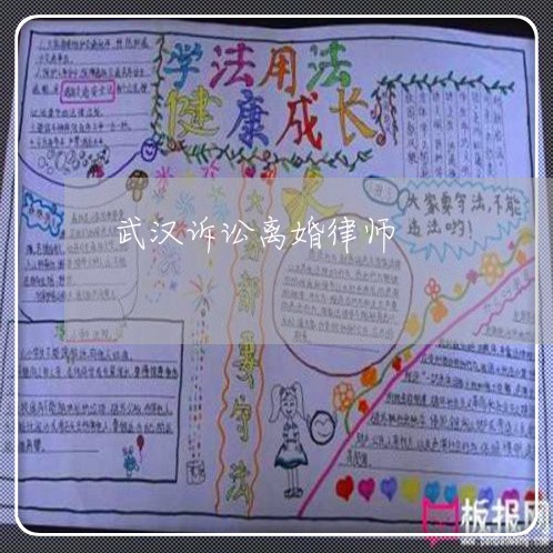 武汉诉讼离婚律师 武汉诉讼离婚律师