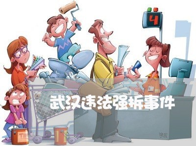 武汉违法强拆事件 武汉违法强拆事件