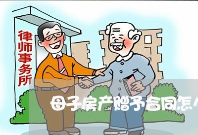 母子房产赠予合同怎么写/2023040249481