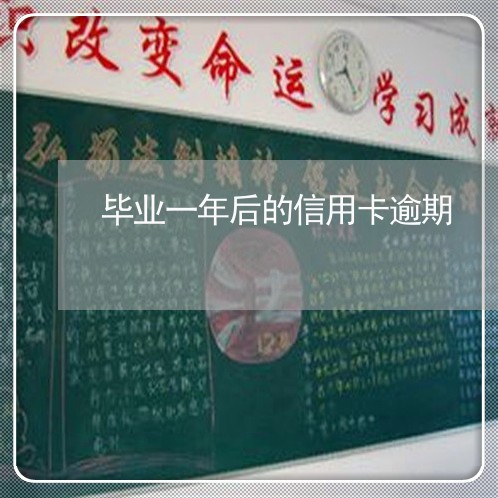 毕业一年后的信用卡逾期/2023062216139