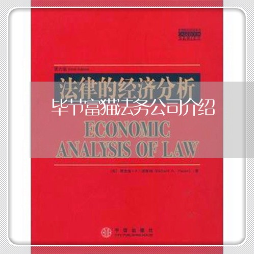 毕节富猫法务公司介绍 毕节富猫法务公司介绍