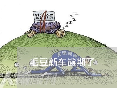 毛豆新车逾期了