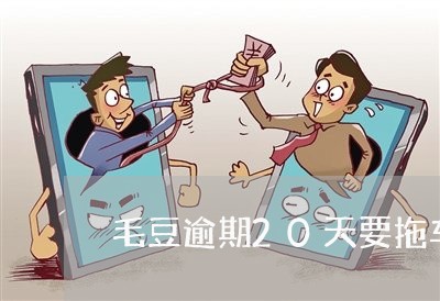 毛豆逾期20天要拖车