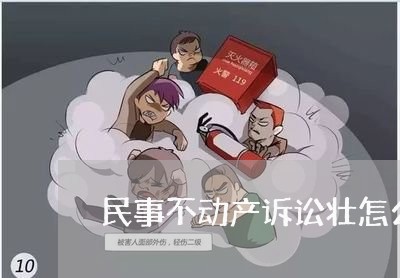 民事不动产诉讼壮怎么写