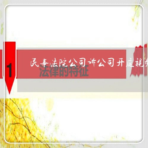 民事法院公司诉公司开庭视频 民事法院公司诉公司开庭视频