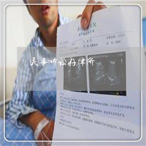 民事诉讼好律所
