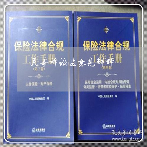 民事诉讼法意见解释 民事诉讼法意见解释