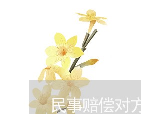 民事赔偿对方不同意分期怎么办
