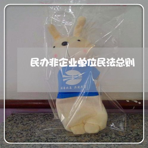 民办非企业单位民法总则