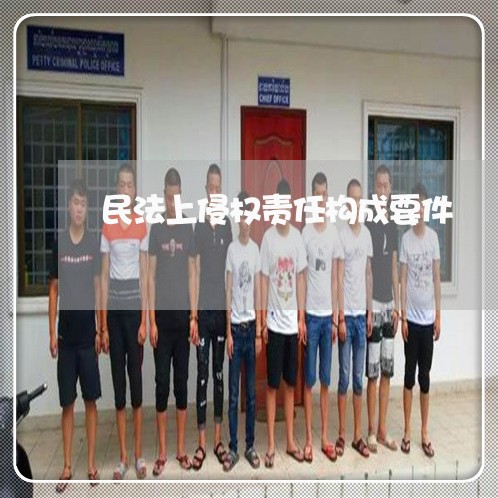 民法上侵权责任构成要件 民法上侵权责任构成要件