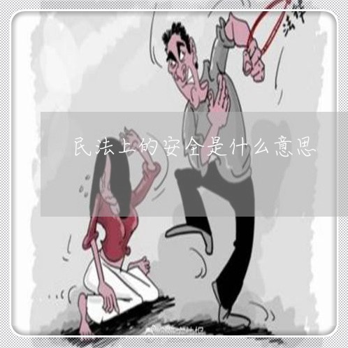 民法上的安全是什么意思