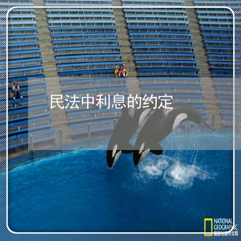 民法中利息的约定 民法中利息的约定