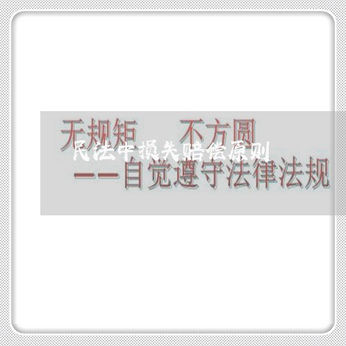 民法中损失赔偿原则