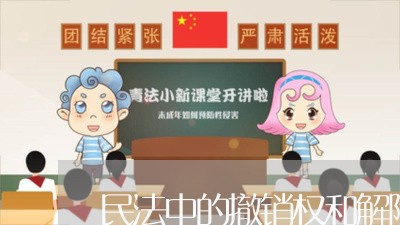 民法中的撤销权和解除权