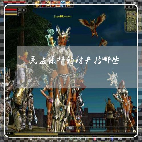 民法保护的财产指哪些