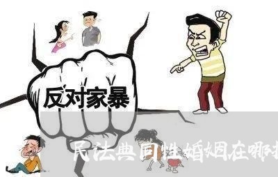 民法典同性婚姻在哪投票