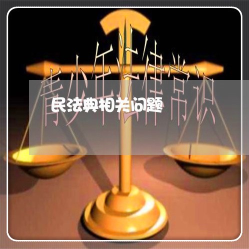 民法典相关问题