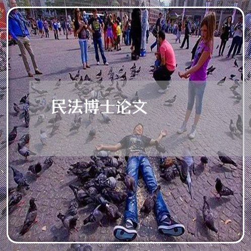 民法博士论文