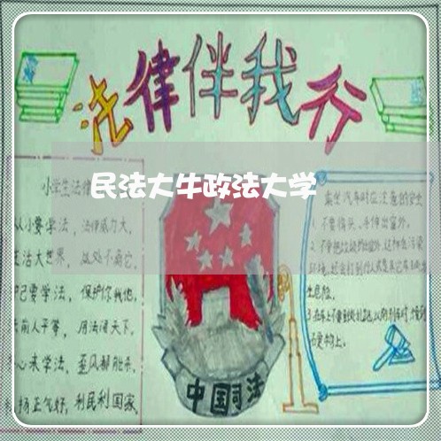 民法大牛政法大学