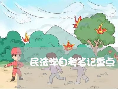 民法学自考笔记重点