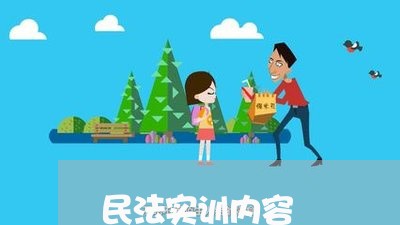 民法实训内容