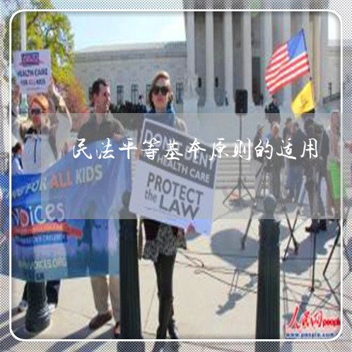 民法平等基本原则的适用 民法平等基本原则的适用