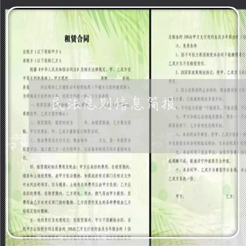 民法总则信息简报 民法总则信息简报