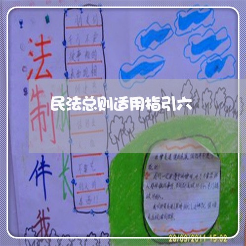 民法总则适用指引六