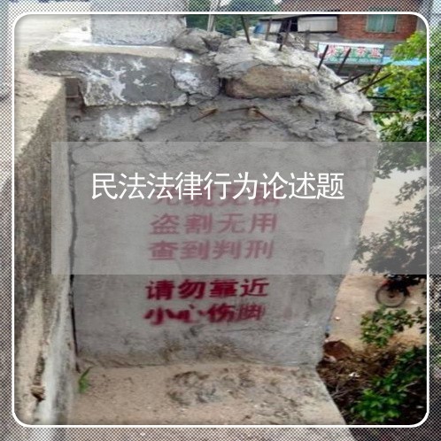 民法法律行为论述题