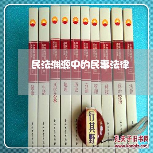 民法渊源中的民事法律 民法渊源中的民事法律