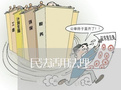 民法适用法理 民法适用法理