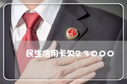 民生信用卡欠23000