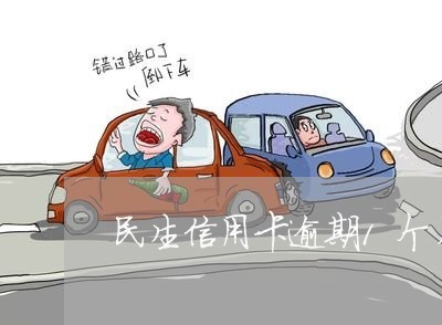 民生信用卡逾期1个月上海
