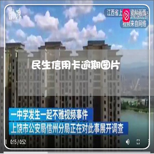 民生信用卡逾期图片/2023031663705