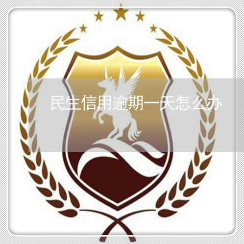 民生信用逾期一天怎么办/2023033026261