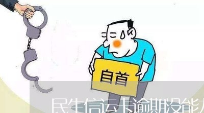 民生信运卡逾期没能力还/2023062105817