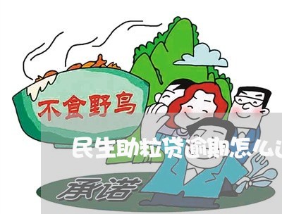 民生助粒贷逾期怎么还款/2023022693826