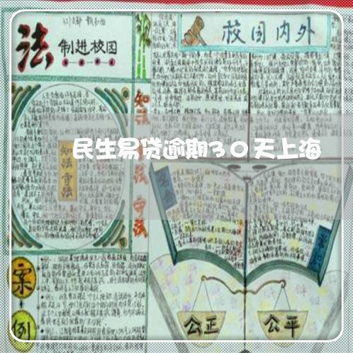 民生易贷逾期30天上海 民生易贷逾期30天上海