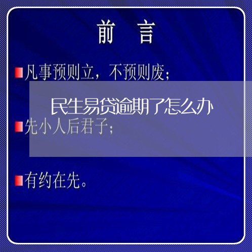 民生易贷逾期了怎么办/2023032066361