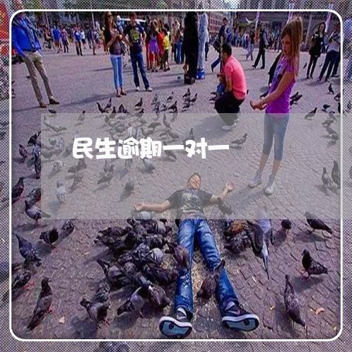 民生逾期一对一