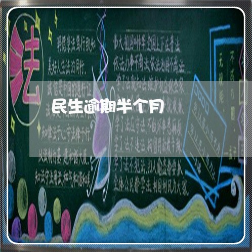 民生逾期半个月/2023013104159 民生逾期半个月/2023013104159